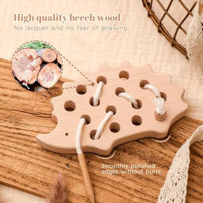Jouets en Bois à Lacer Montessori — Hérisson & Dinosaure 2-5 ans